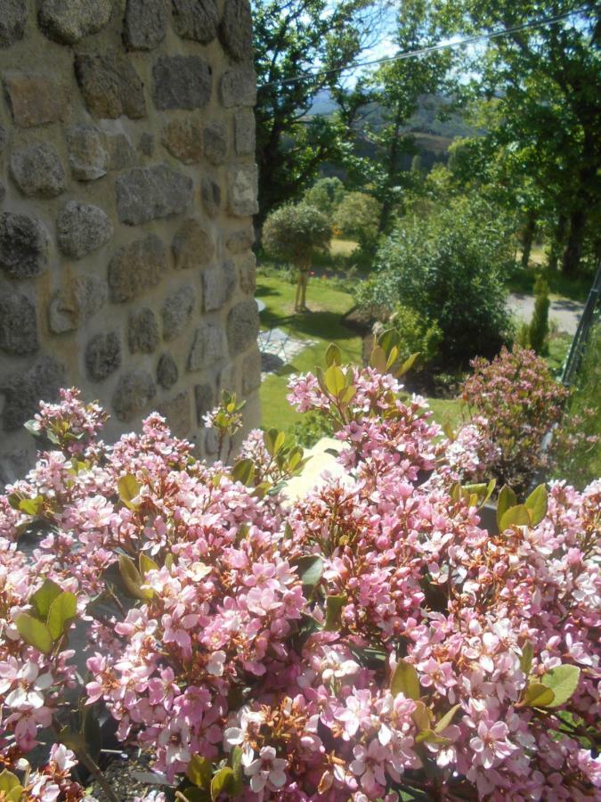 Maison D'Hotes Les Palmiers Gluiras Exterior foto